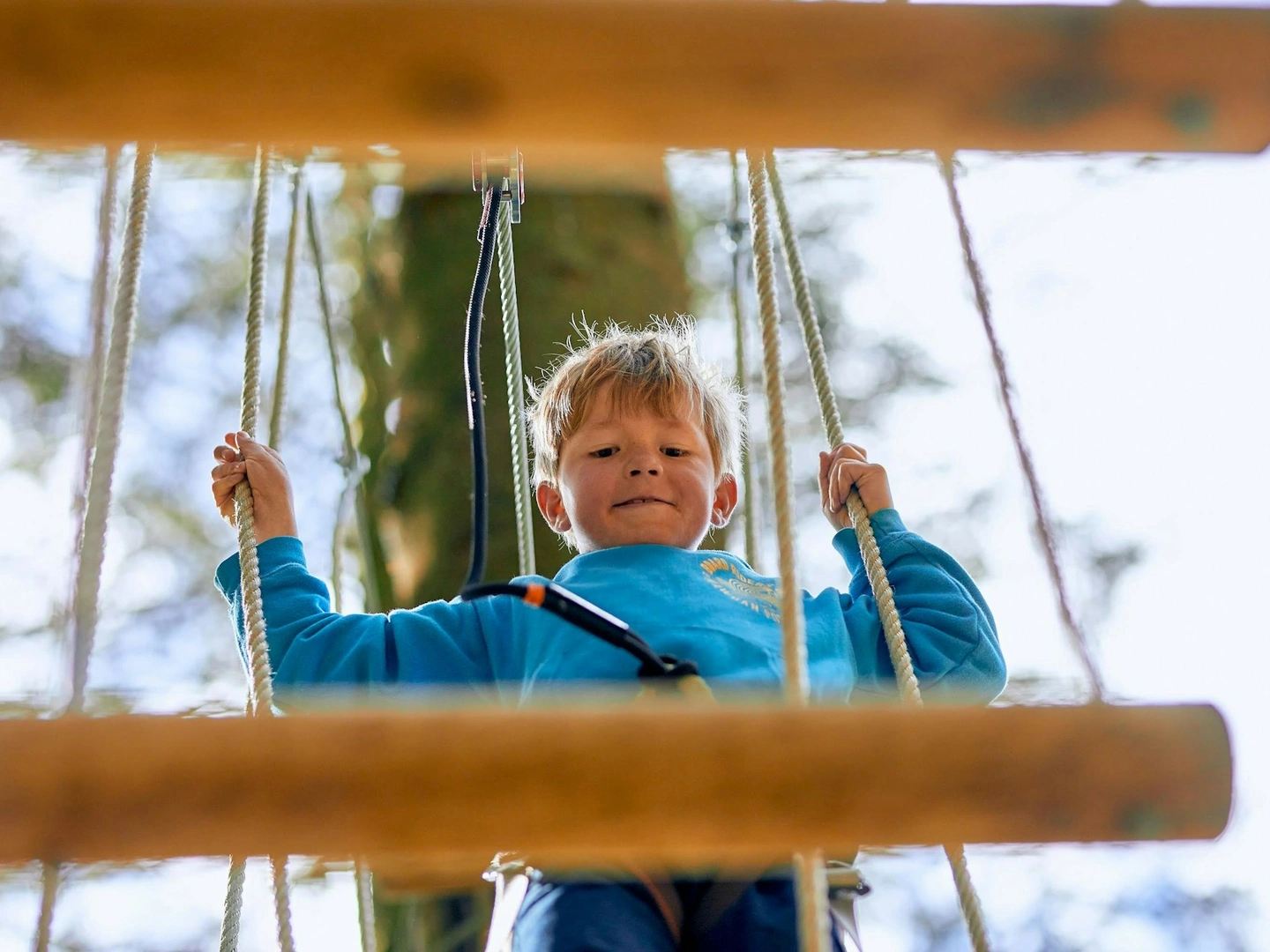 Go Ape Age Guide