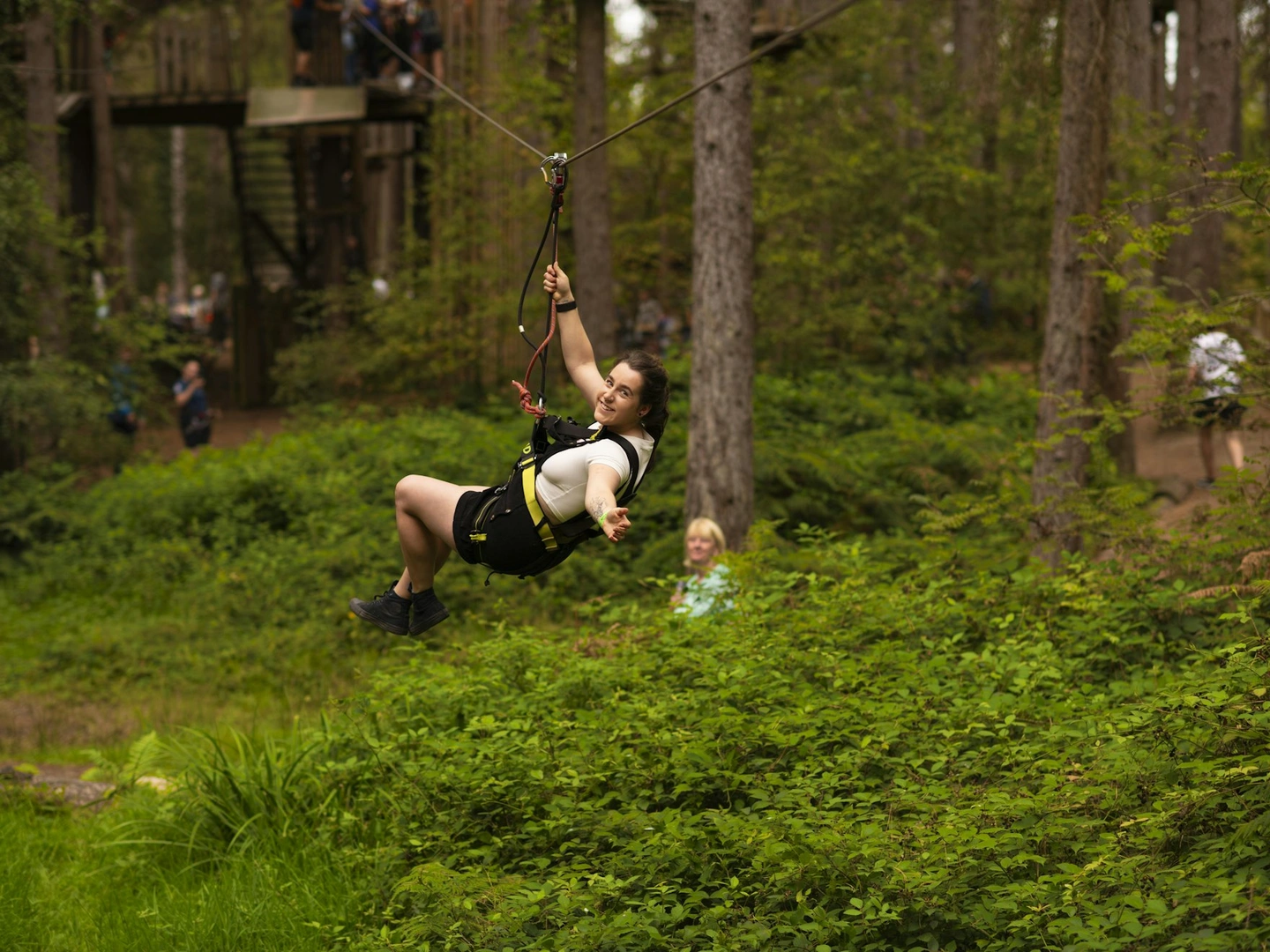 How Much Does Go Ape Cost in 2025?
