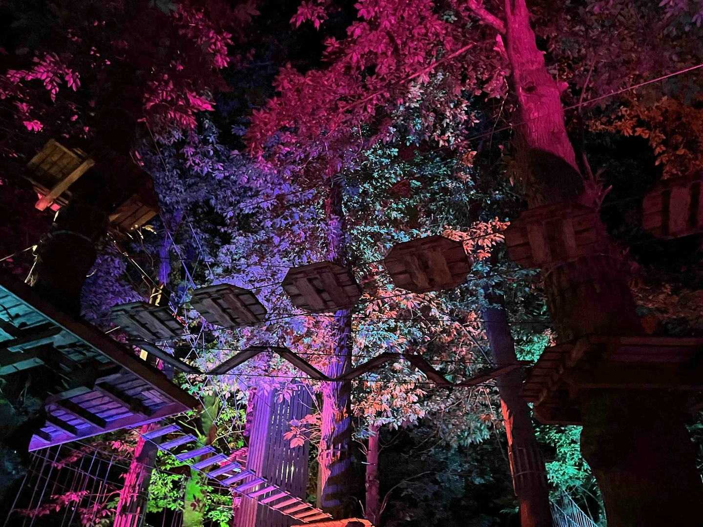A Go Ape crossing lit in colourful lights for Sundown Adventures