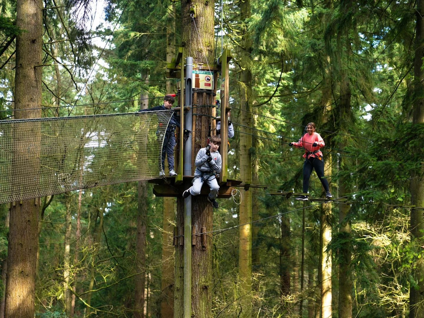 Go Ape Family Discount