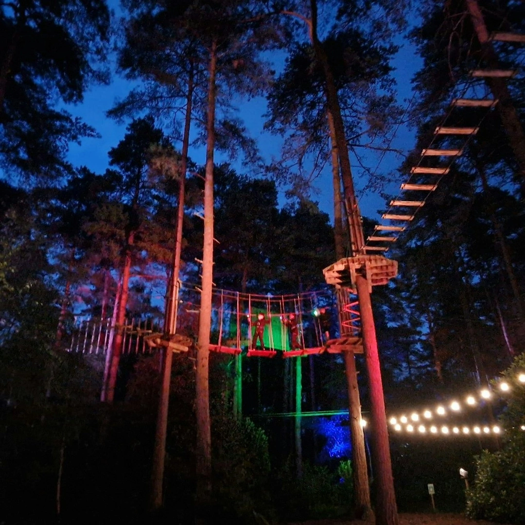 People take on a Go Ape high ropes course after dark on a Sundown Adventure