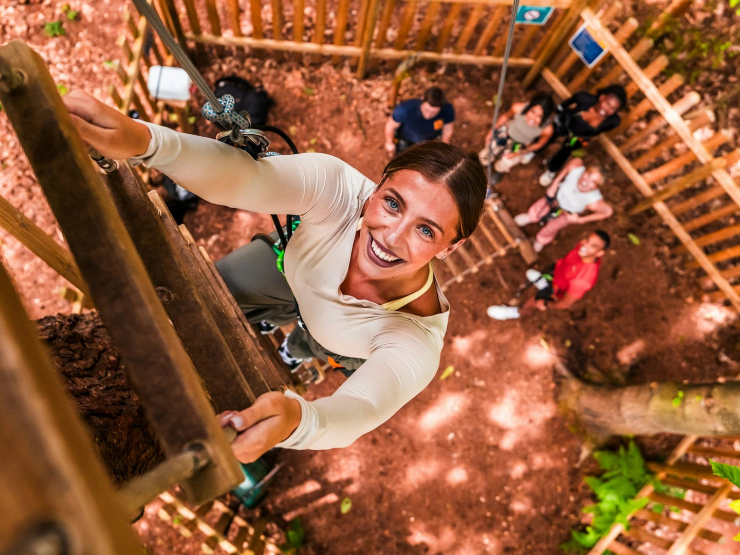 A woman scales a ladder ot the treetops whilst her mates watch from the ground